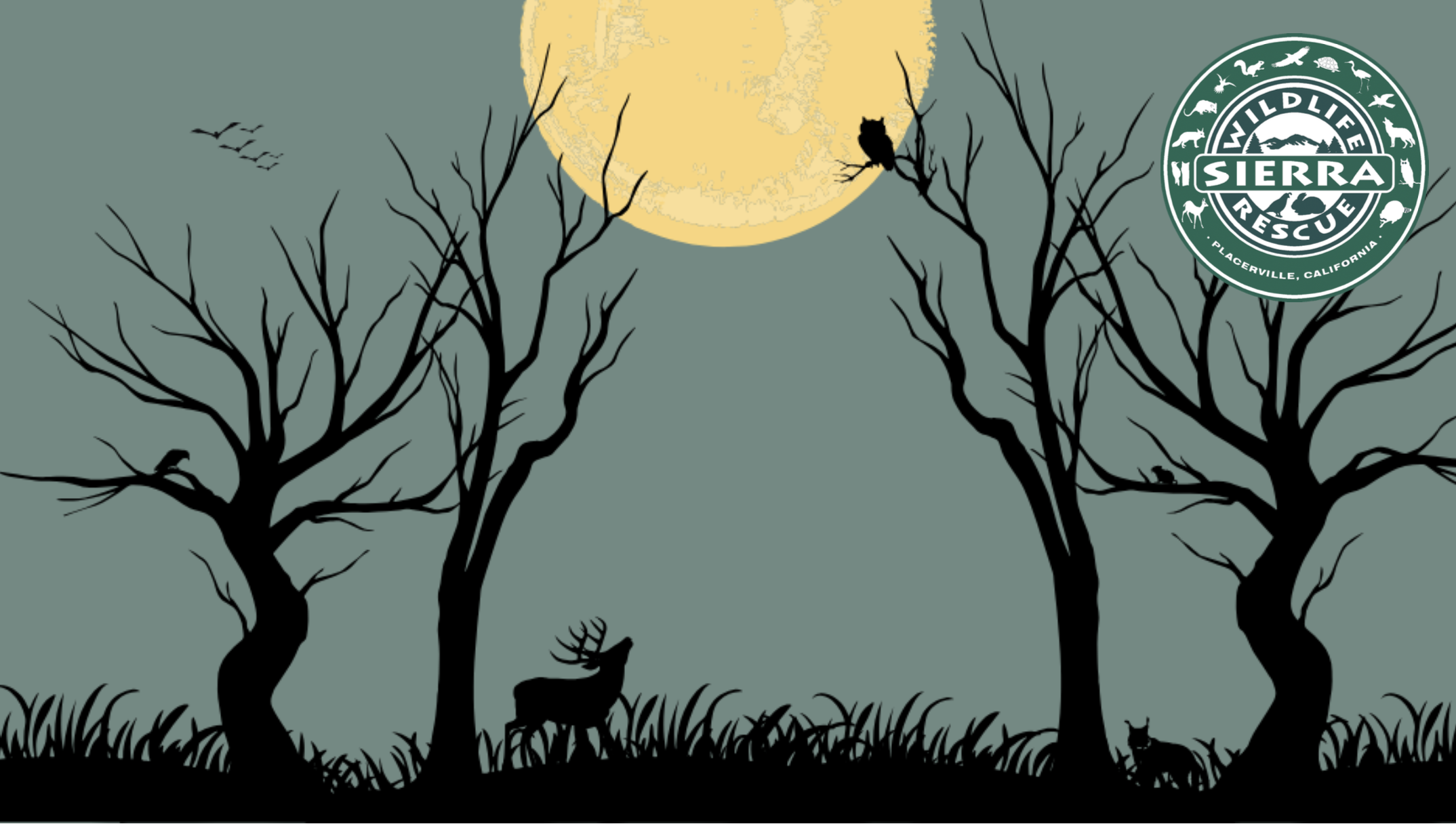 Feathers, Fur, and Frights: A Halloween-themed FUNdraiser